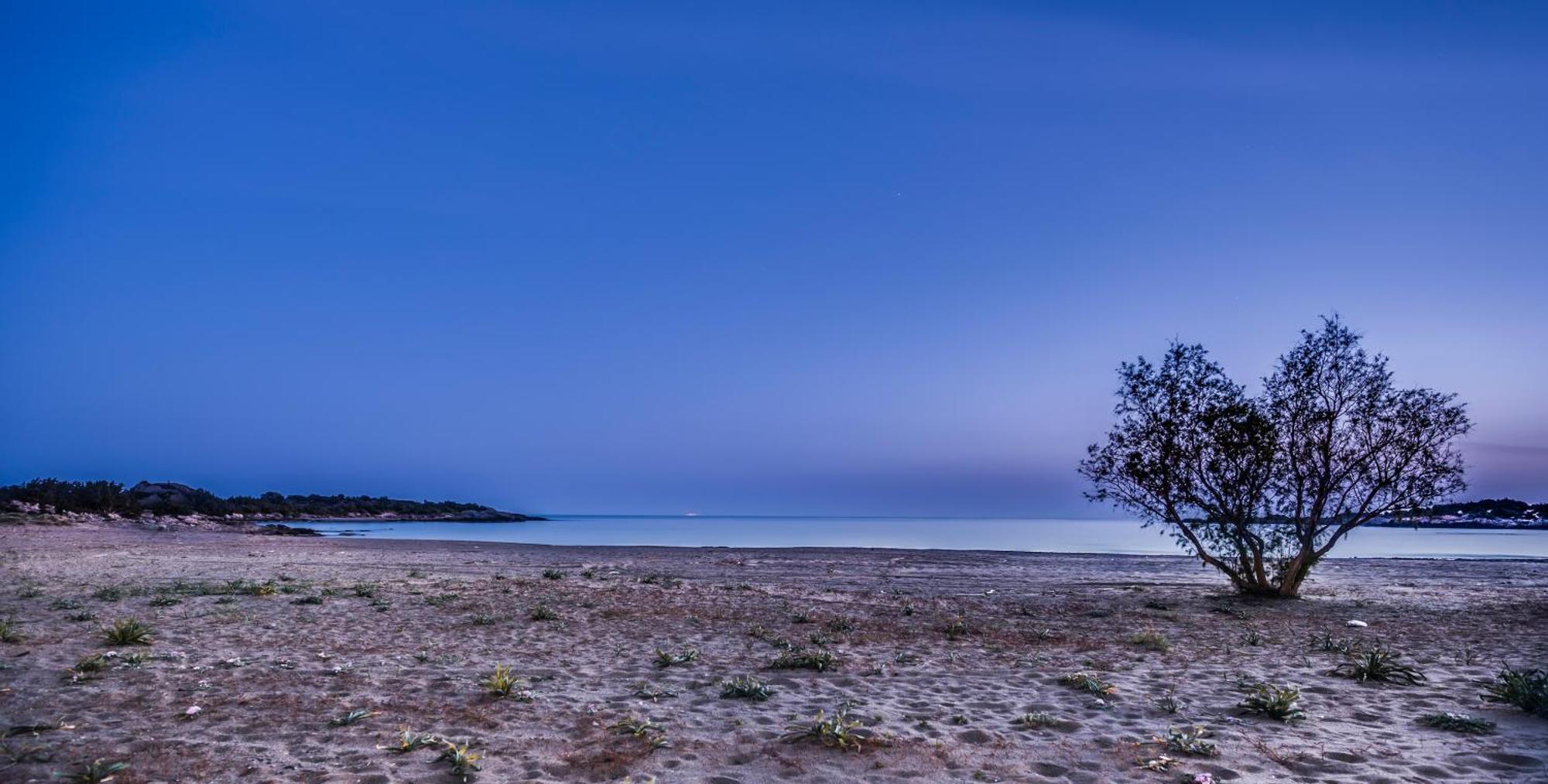 Cedar Bay Beachside Villas Palaiochora Eksteriør billede